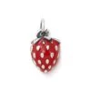 Enamel Wild Strawberry Charm -Fashion Accessories CM 3340 685661