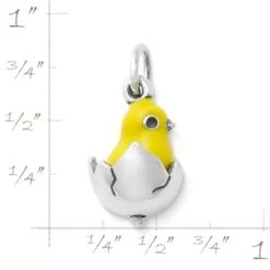 Enamel Chicks Rule Charm -Fashion Accessories CM 5590 583343 rul