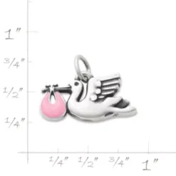 Enamel Special Delivery Charm -Fashion Accessories CM 5743 920243 rul
