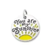 Enamel "You Are My Sunshine" Charm 1 Enamel "You Are My Sunshine" Charm -Fashion Accessories CM 5955 708235