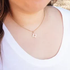 Pave Diamond Deep In The Heart Of Texas Pendant -Fashion Accessories CM 6127 336353 IGC