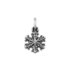 Aspen Snow Crystal Charm -Fashion Accessories CM 676 309657