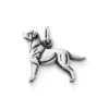 Labrador Retriever Charm -Fashion Accessories CM 907 686420