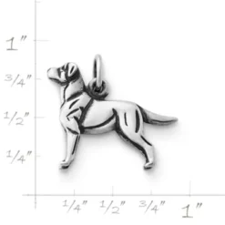 Labrador Retriever Charm -Fashion Accessories CM 907 686420 rul