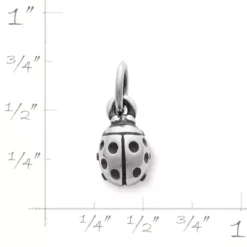 Ladybug Charm -Fashion Accessories CM 922 956864 rul